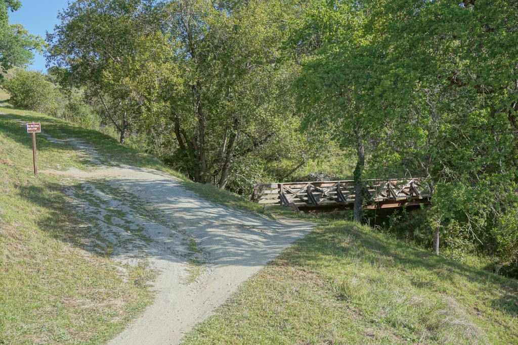 bDSC08512