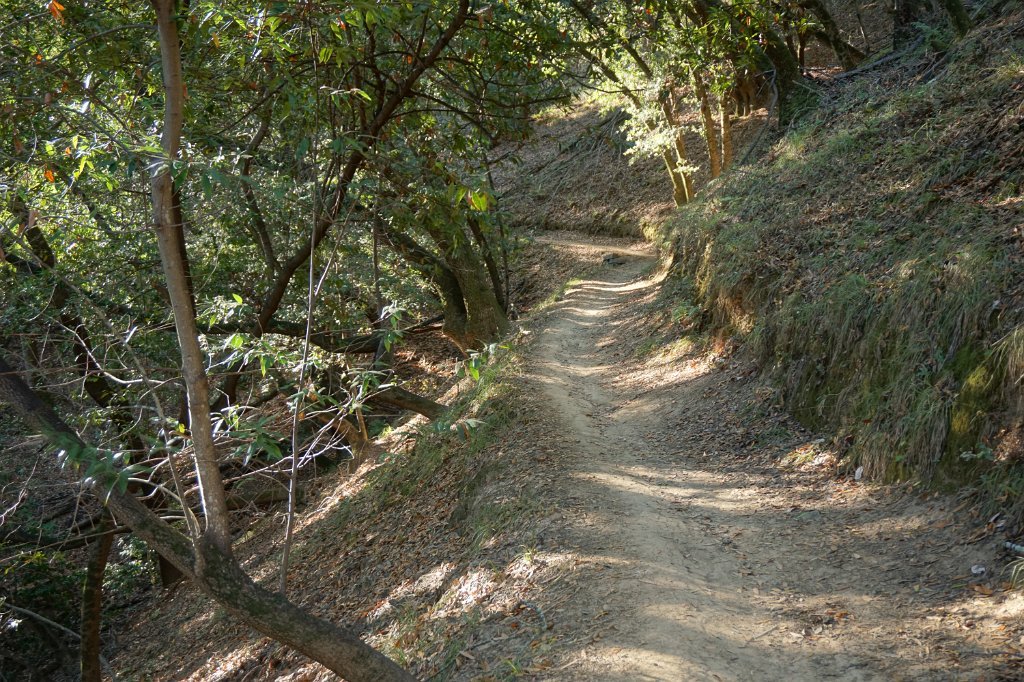 DSC04419