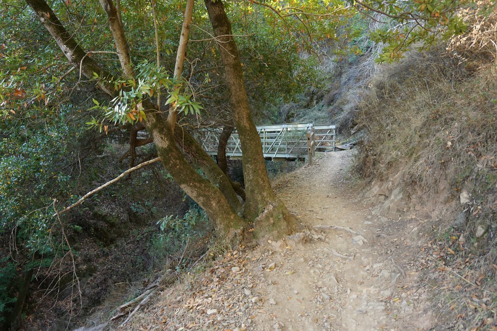 DSC04420