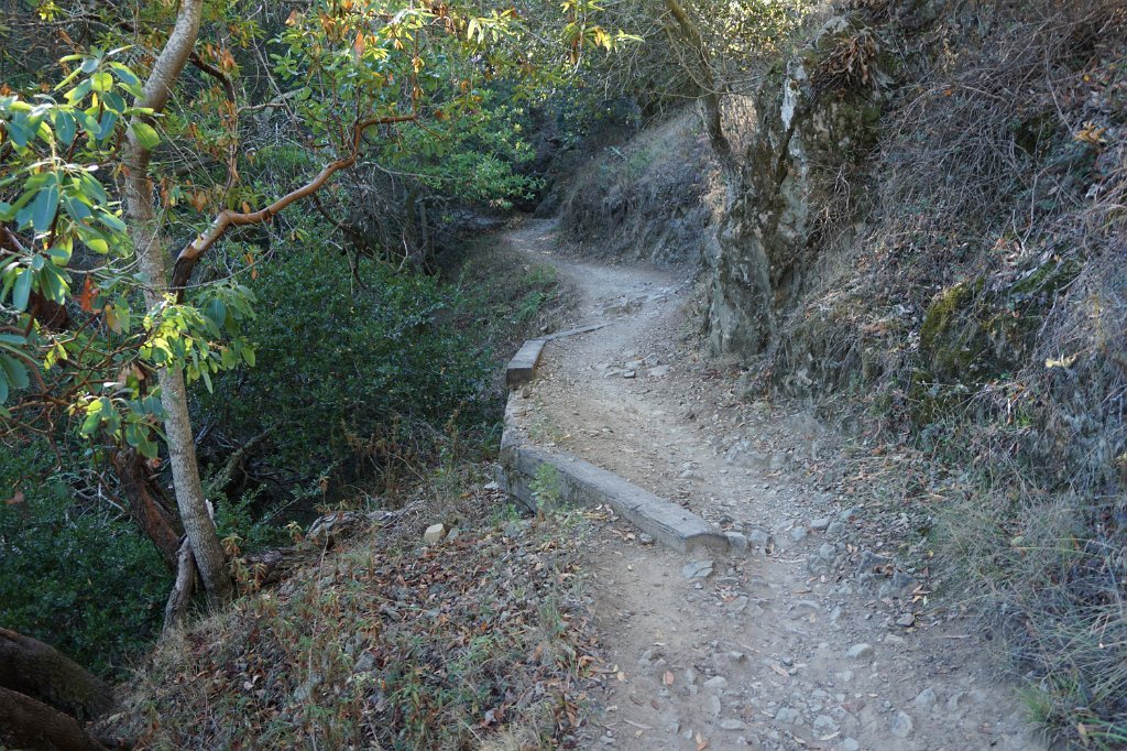 DSC04428