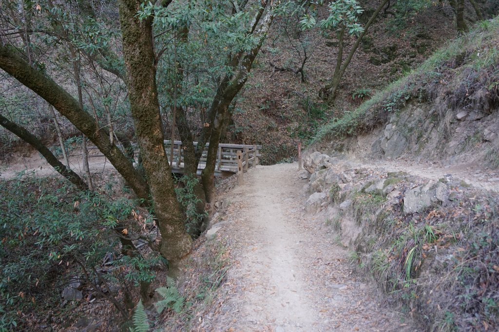 DSC04429