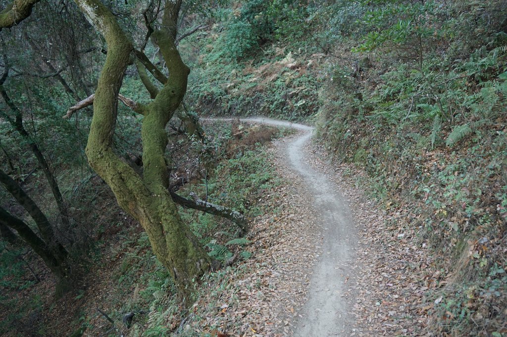 DSC04450
