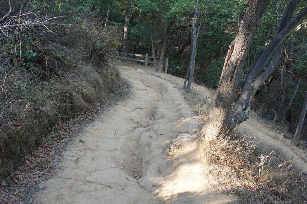 DSC04495