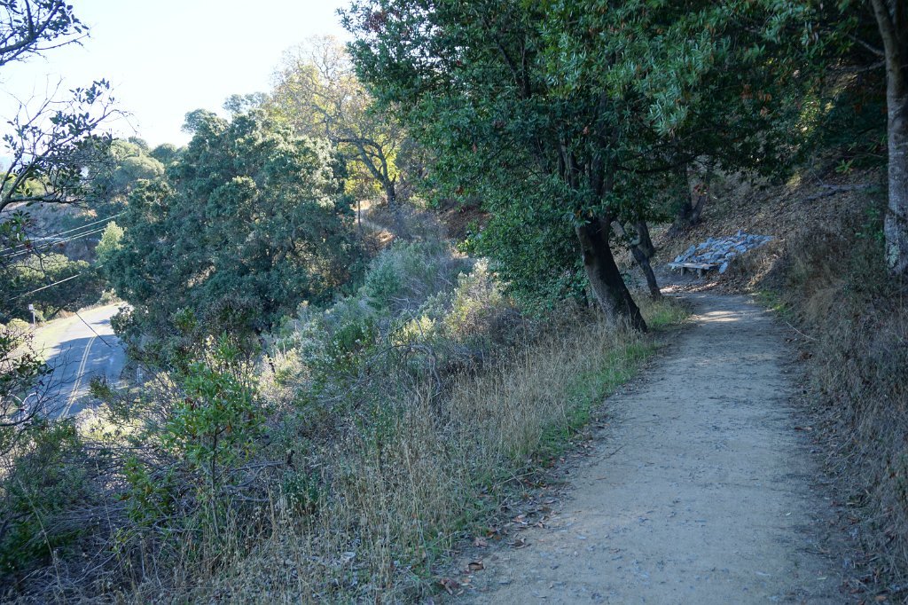 DSC04508