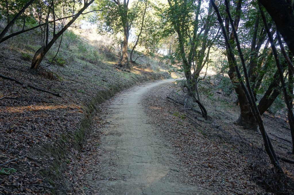 DSC04545