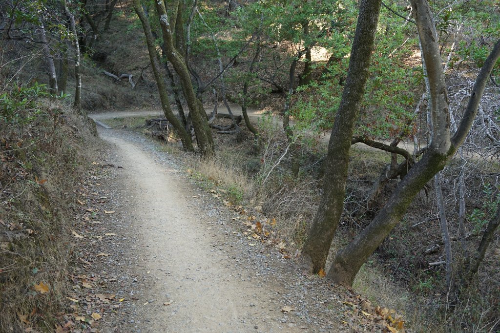 DSC04550
