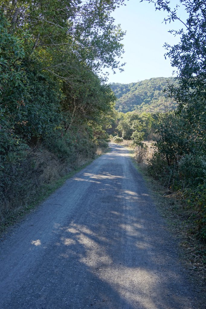 DSC04560