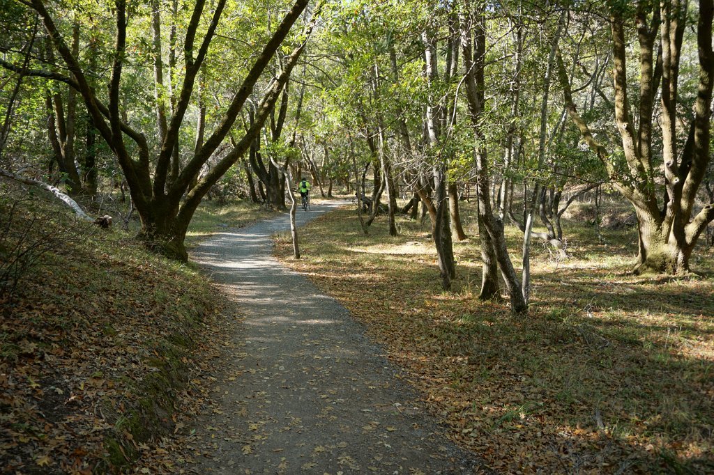DSC04564