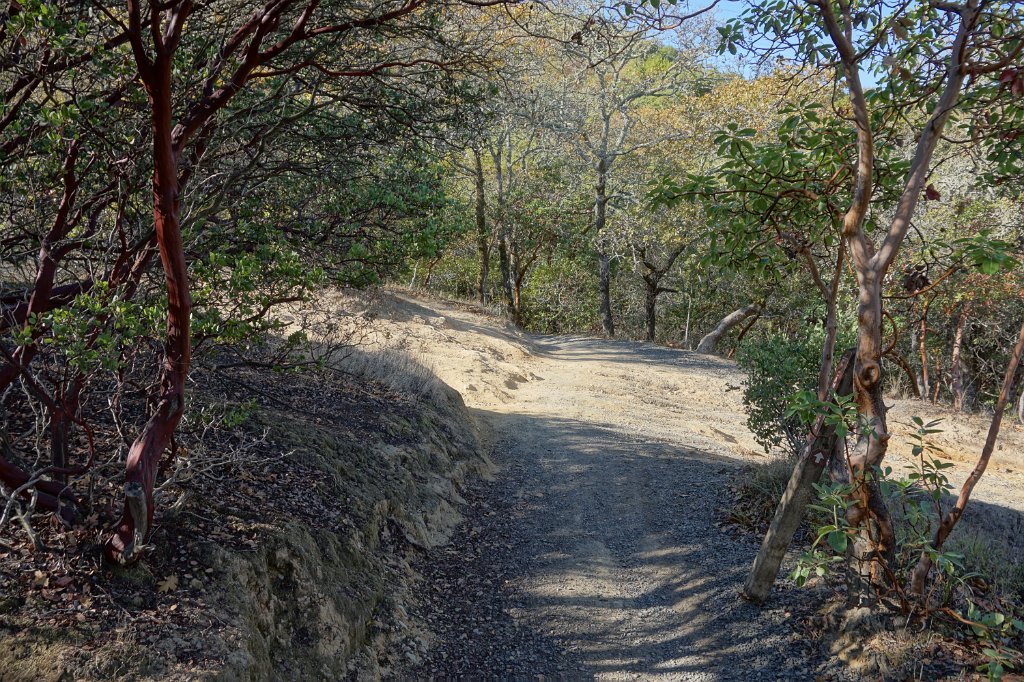 DSC04585