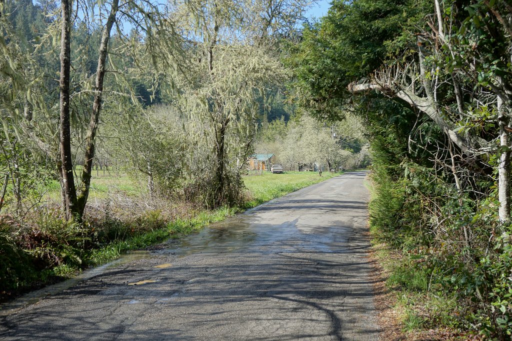 DSC03430