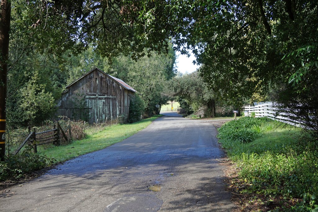 DSC03431
