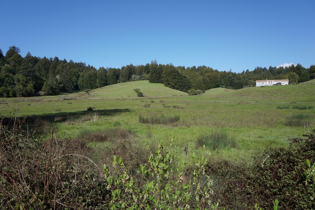 DSC03435