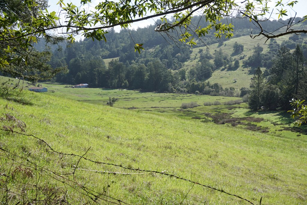 DSC03440