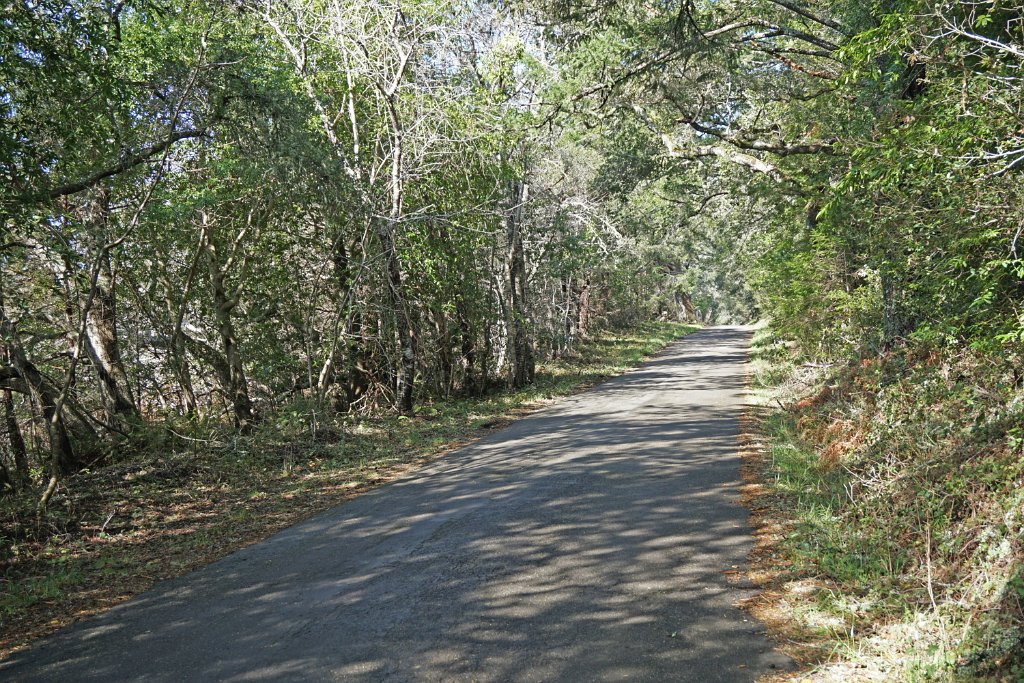 DSC03459