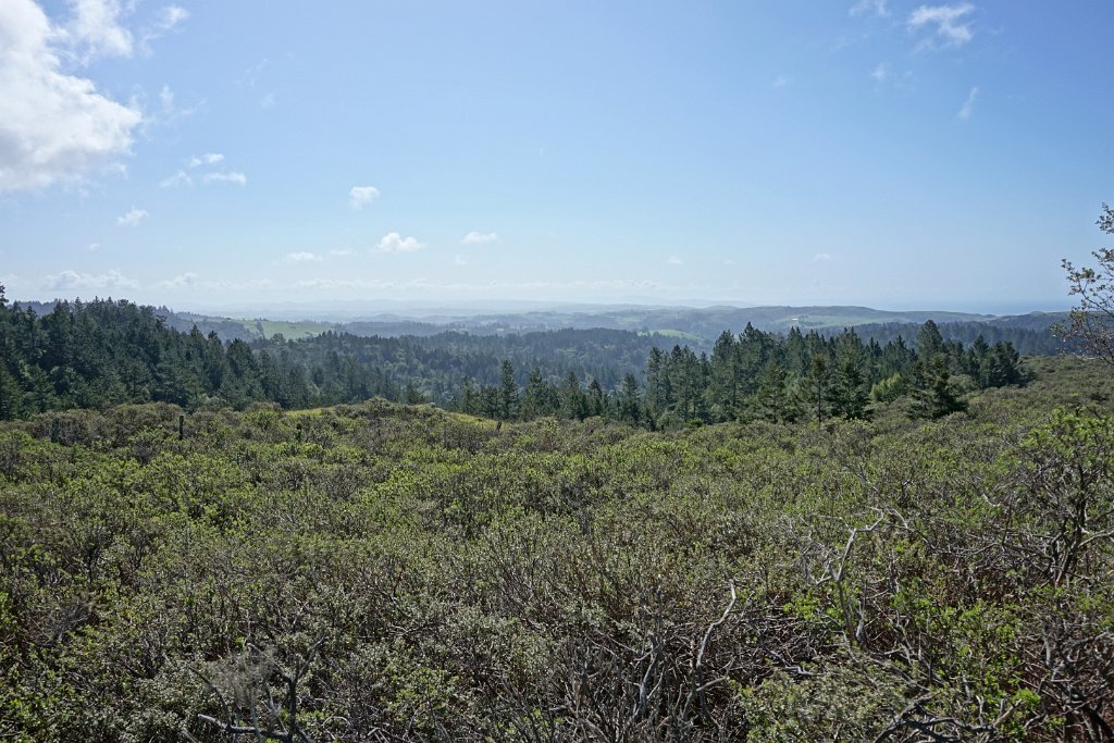 DSC03463