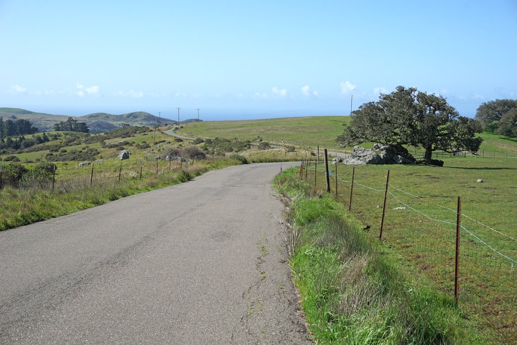 DSC03471