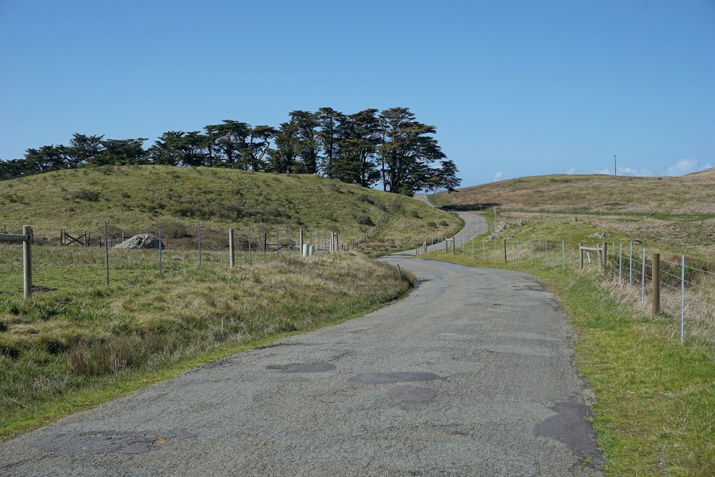 DSC03499