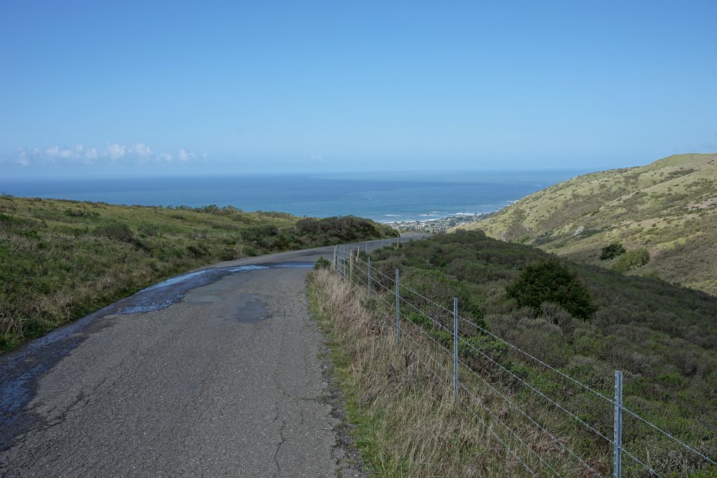 DSC03501