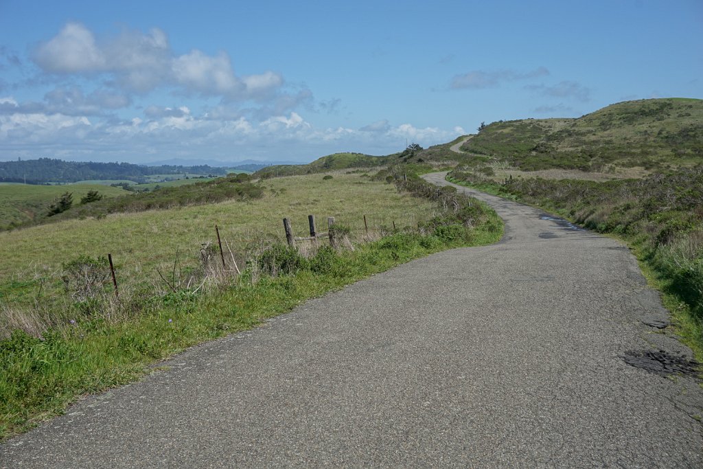 DSC03586