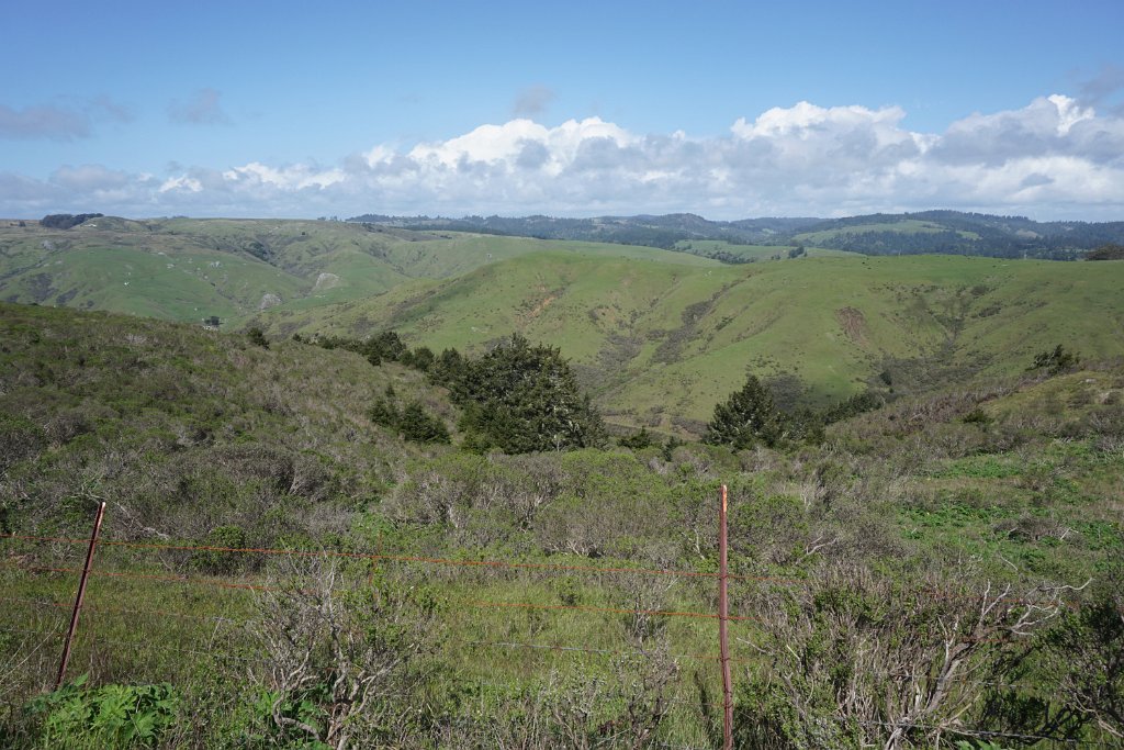 DSC03587