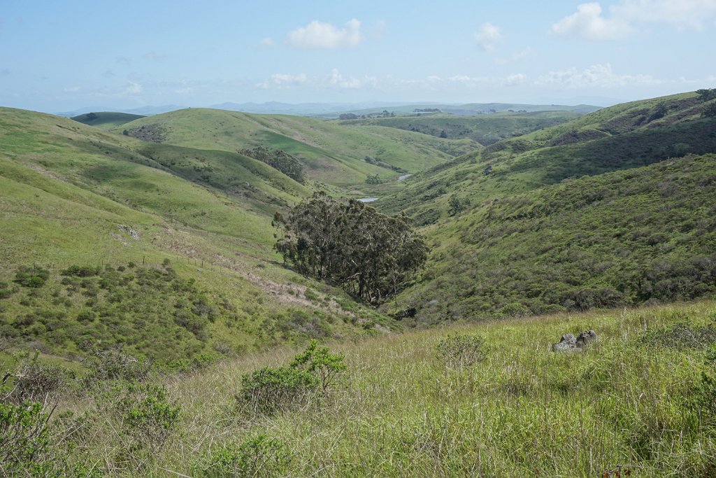 DSC03593