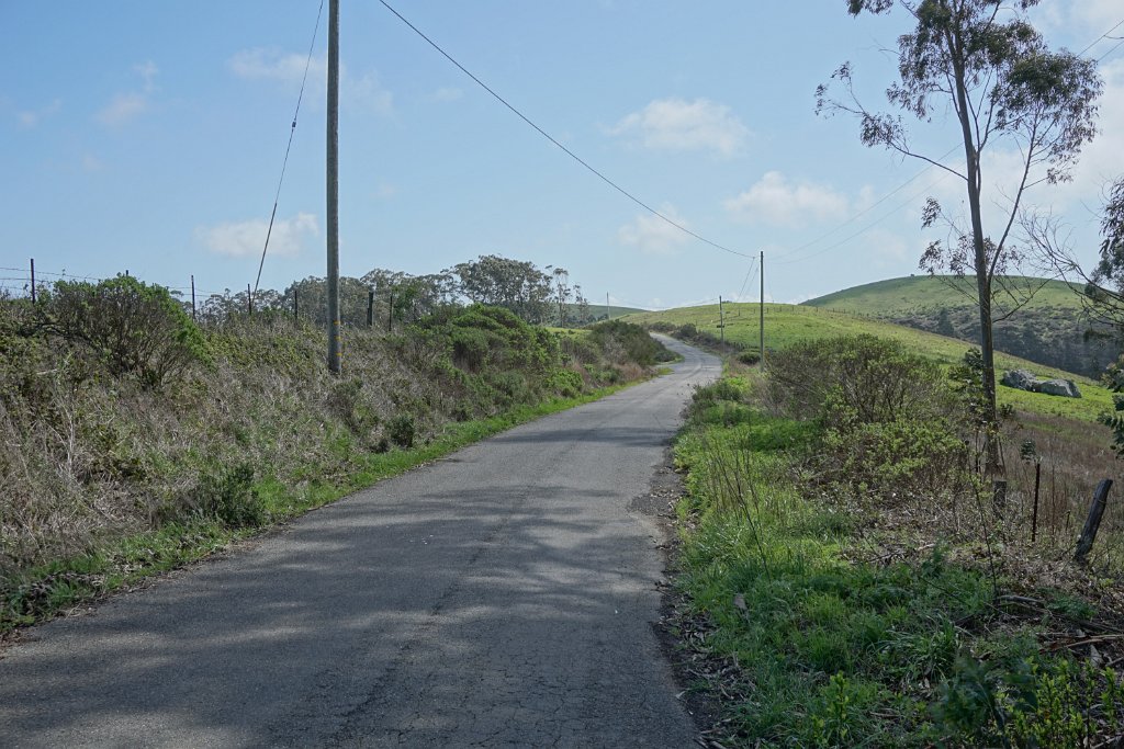 DSC03595