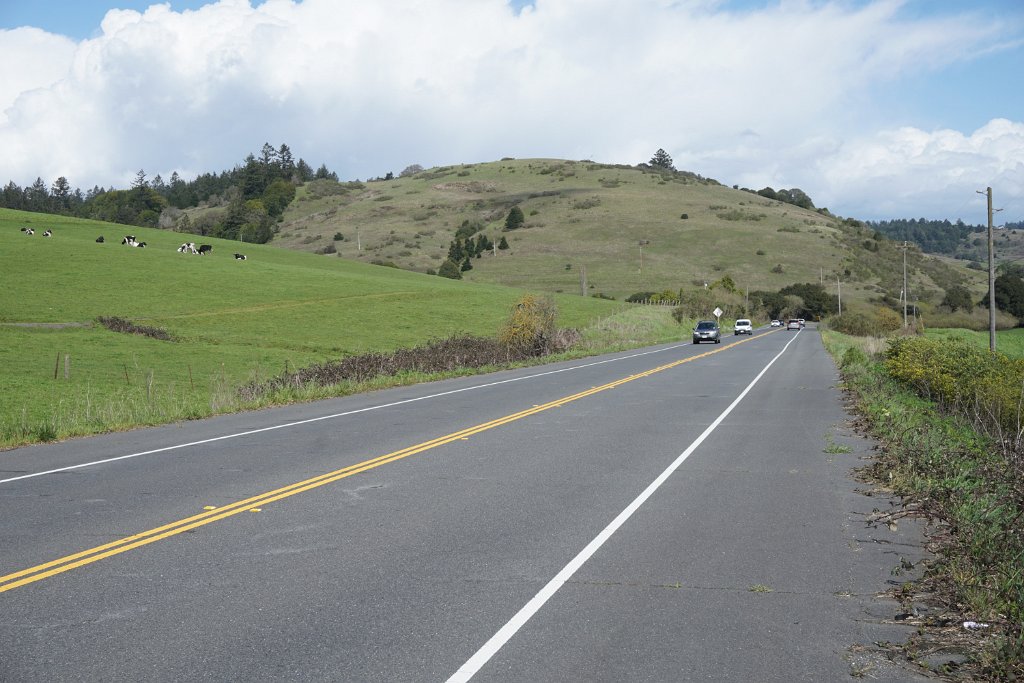 DSC03617