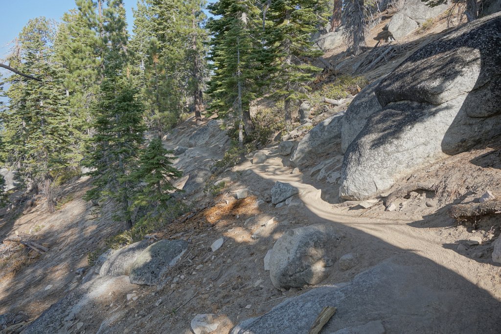 DSC03160