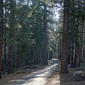 DSC03098