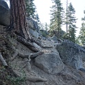DSC03166