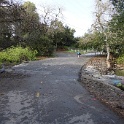 DSC01210