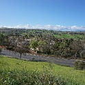 DSC01239