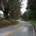 DSC01257