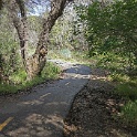 DSC01307