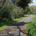 DSC01309