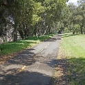 DSC01310