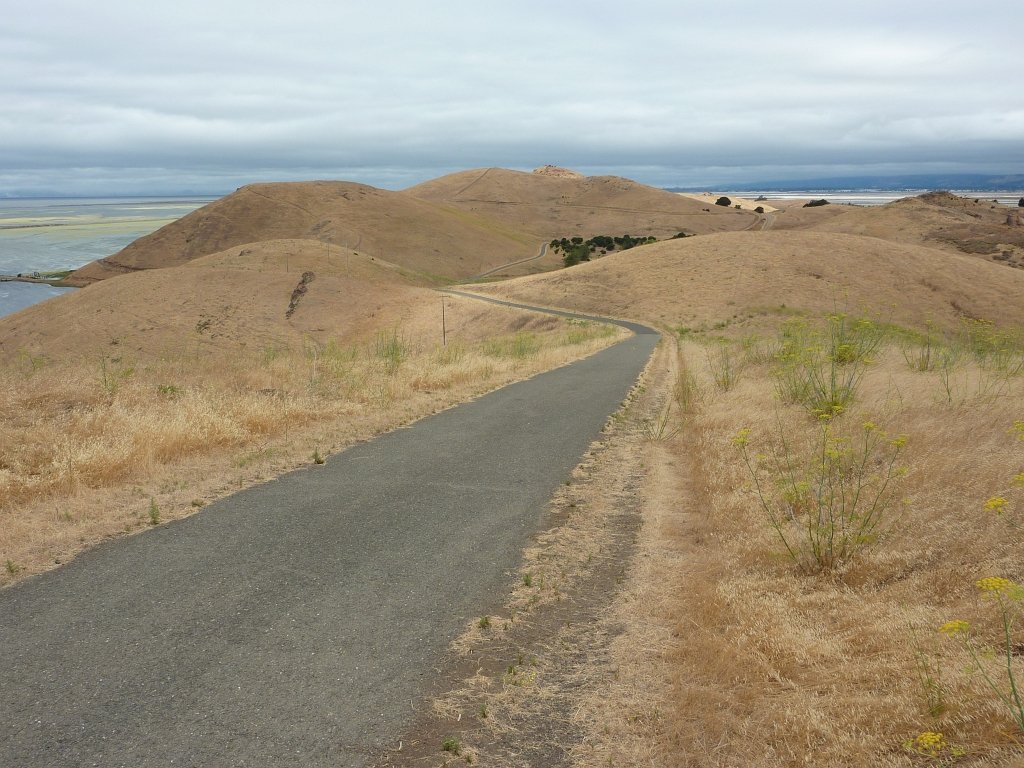 P1030044