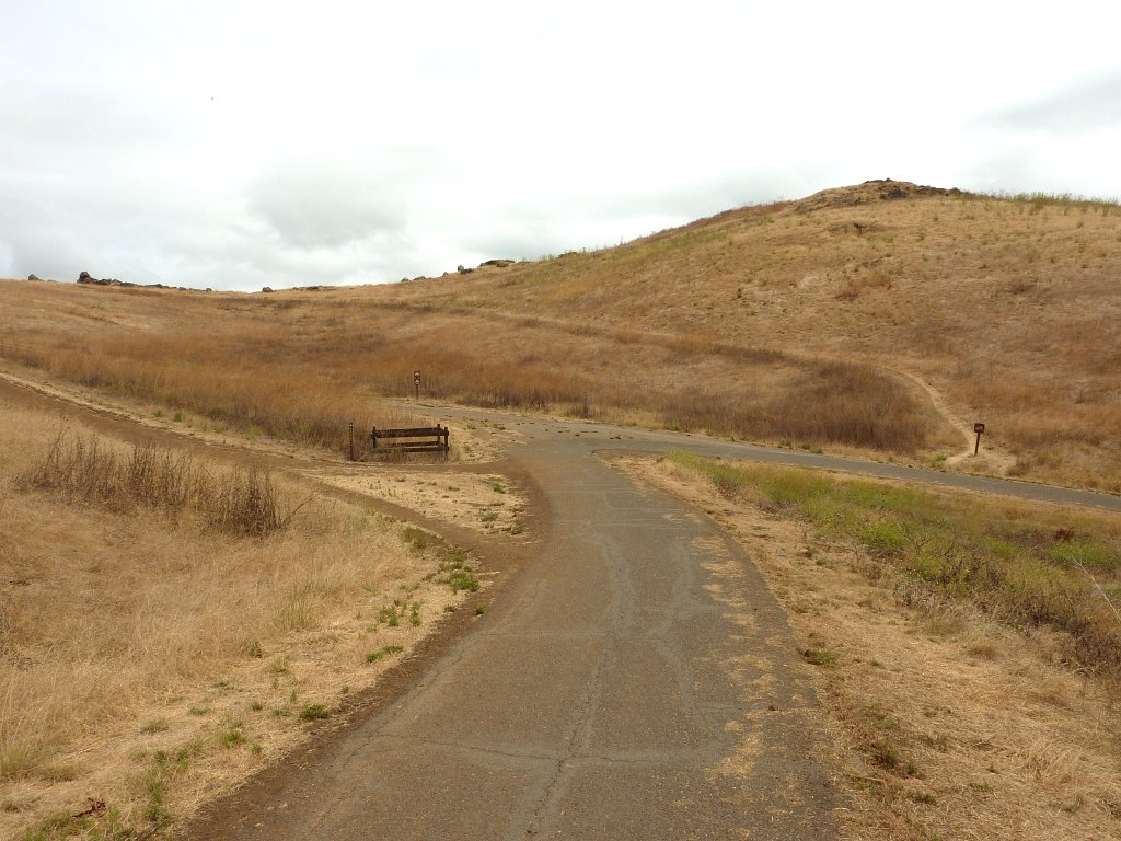 P1030053