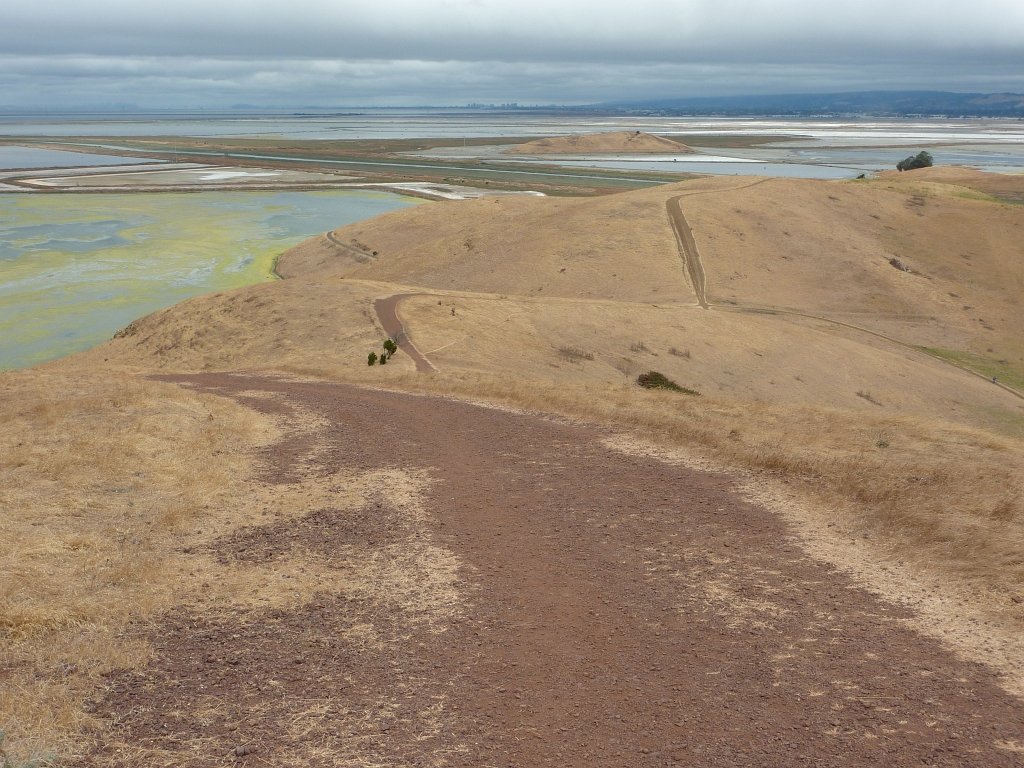P1030066