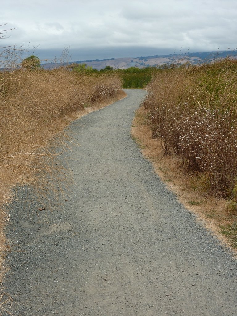 P1030088