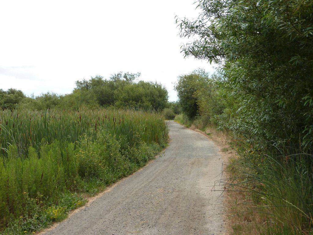 P1030093