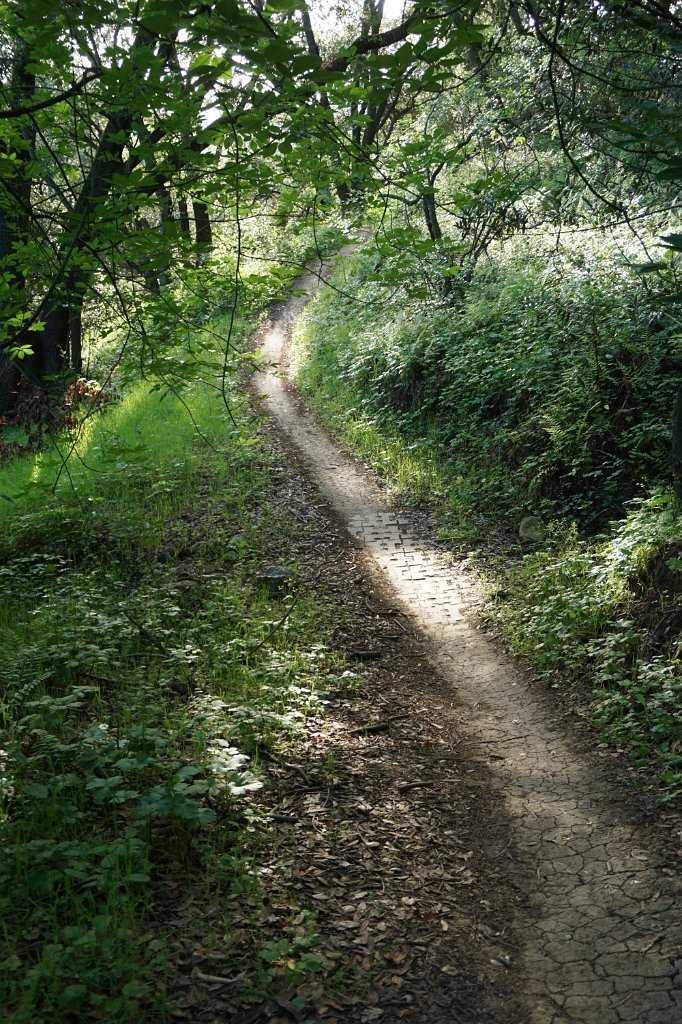 DSC01952