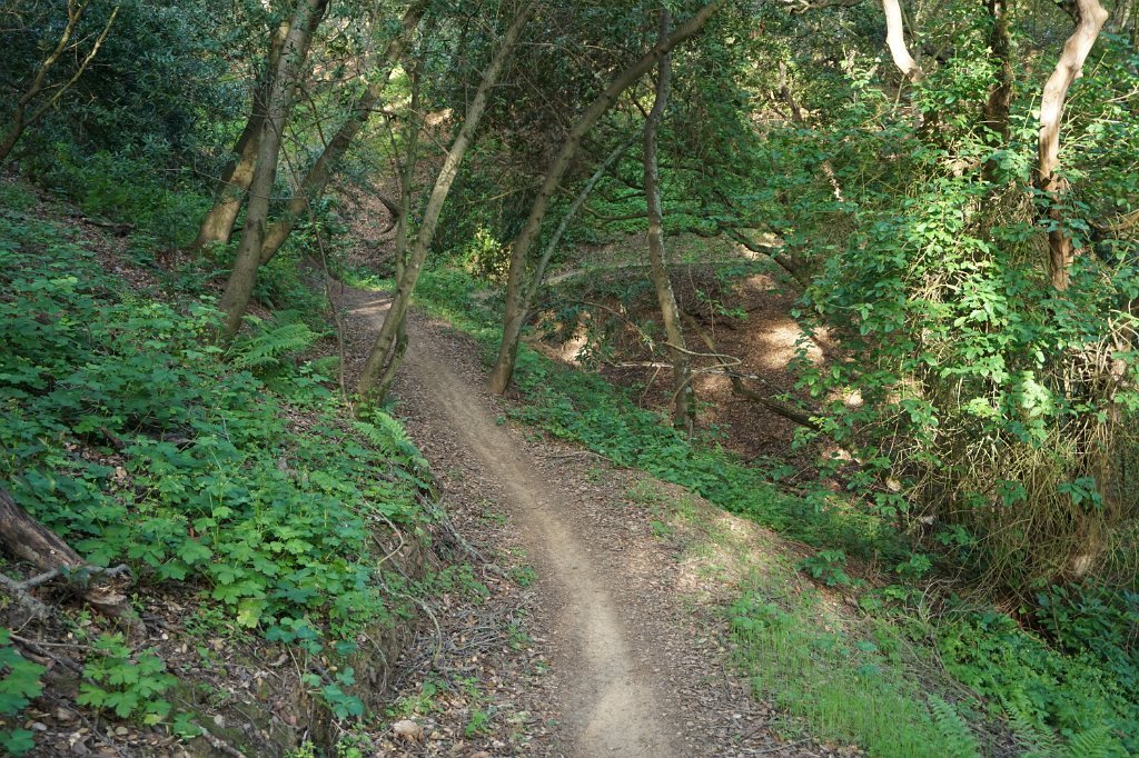 DSC01957