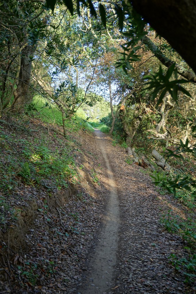 DSC01959