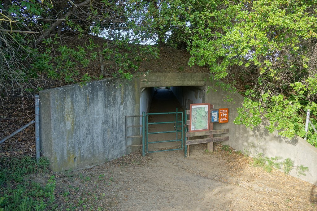 DSC01967