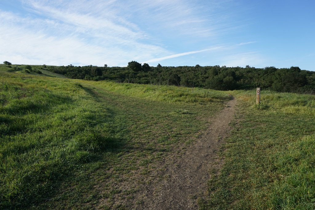 DSC01969