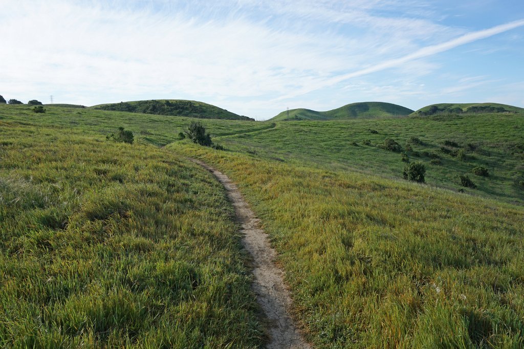DSC01978