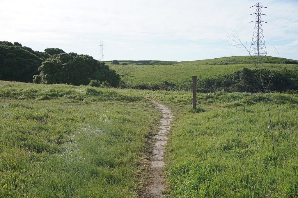 DSC01990