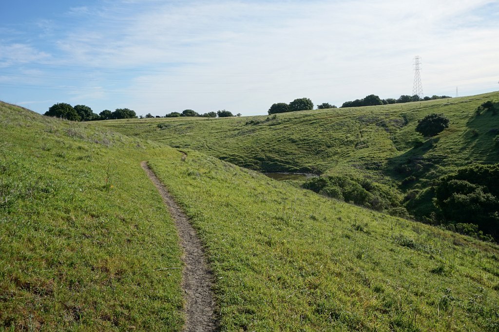 DSC02000