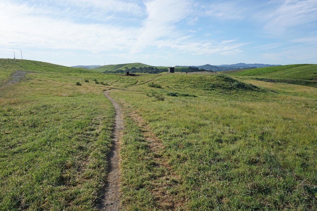 DSC02003